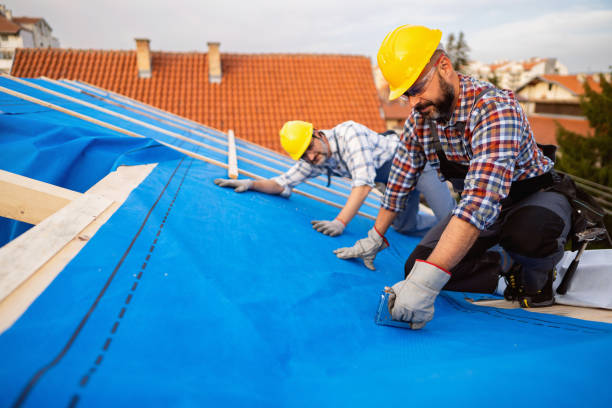 Fast & Reliable Emergency Roof Repairs in Luckey, OH